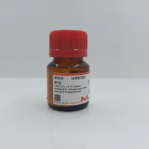 آی پی تی جی (IPTG)